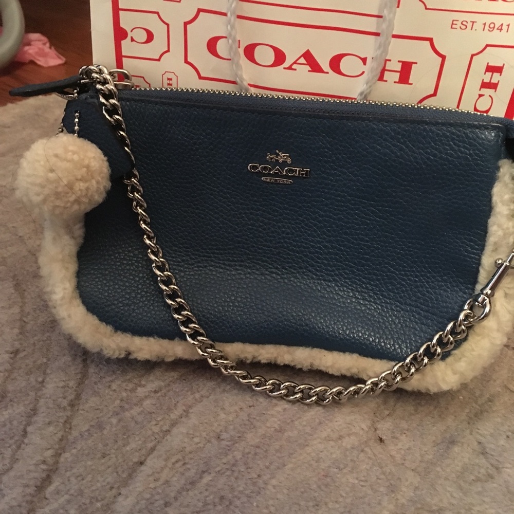 Coach mini purse
